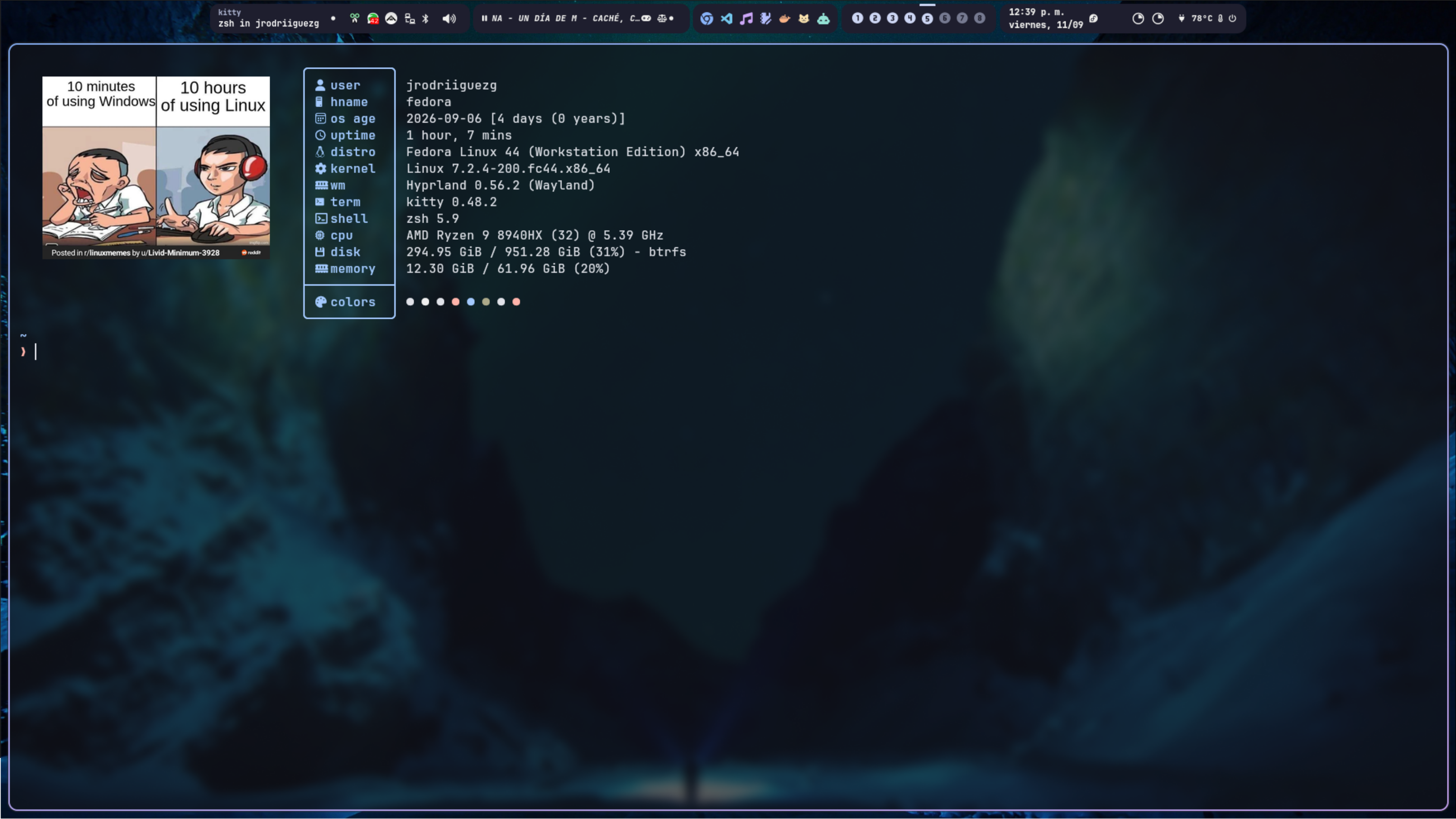Terminal Kitty con Fastfetch